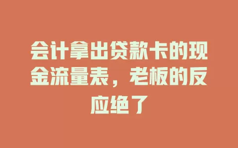 会计拿出贷款卡的现金流量表，老板的反应绝了