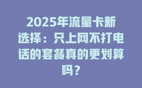 2025年流量卡新选择：只上网不打电话的套餐真的更划算吗？