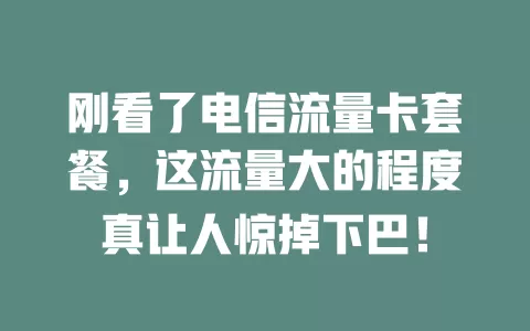 刚看了电信流量卡套餐，这流量大的程度真让人惊掉下巴！