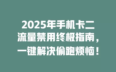 2025年手机卡二流量禁用终极指南，一键解决偷跑烦恼！