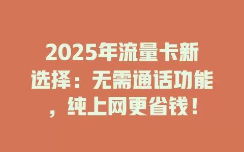 2025年流量卡新选择：无需通话功能，纯上网更省钱！