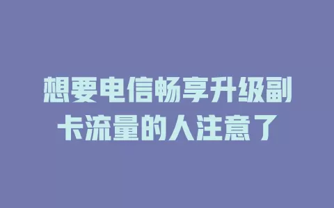 想要电信畅享升级副卡流量的人注意了