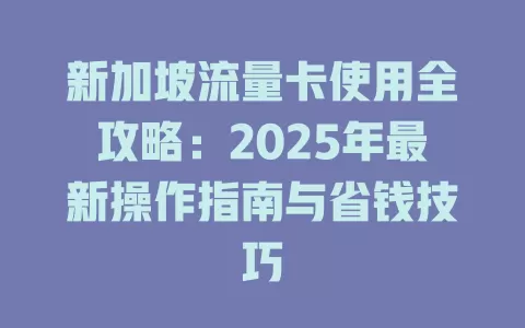新加坡流量卡使用全攻略：2025年最新操作指南与省钱技巧