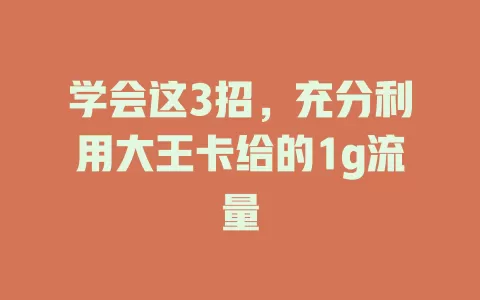 学会这3招，充分利用大王卡给的1g流量