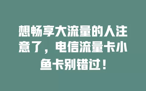 想畅享大流量的人注意了，电信流量卡小鱼卡别错过！
