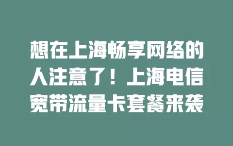 想在上海畅享网络的人注意了！上海电信宽带流量卡套餐来袭