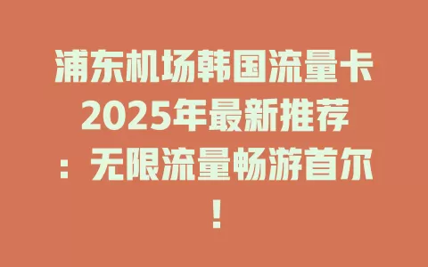 浦东机场韩国流量卡2025年最新推荐：无限流量畅游首尔！