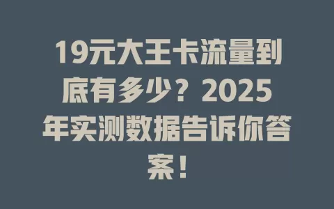 19元大王卡流量到底有多少？2025年实测数据告诉你答案！