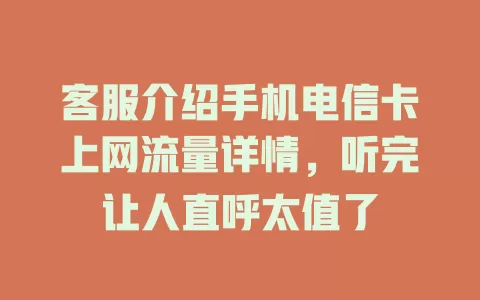 客服介绍手机电信卡上网流量详情，听完让人直呼太值了