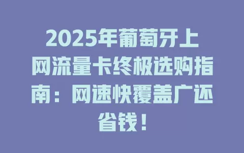 2025年葡萄牙上网流量卡终极选购指南：网速快覆盖广还省钱！