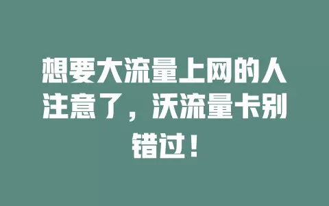 想要大流量上网的人注意了，沃流量卡别错过！