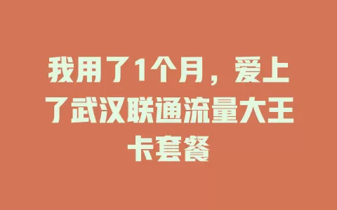 我用了1个月，爱上了武汉联通流量大王卡套餐
