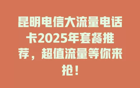 昆明电信大流量电话卡2025年套餐推荐，超值流量等你来抢！