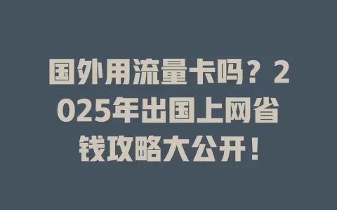 国外用流量卡吗？2025年出国上网省钱攻略大公开！