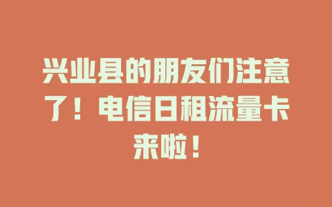 兴业县的朋友们注意了！电信日租流量卡来啦！