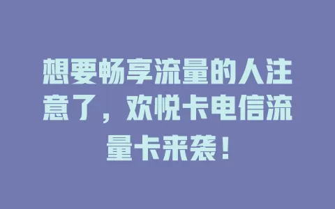 想要畅享流量的人注意了，欢悦卡电信流量卡来袭！