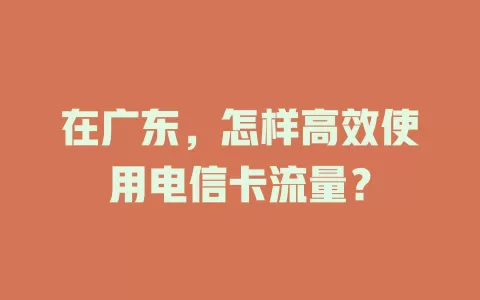 在广东，怎样高效使用电信卡流量？