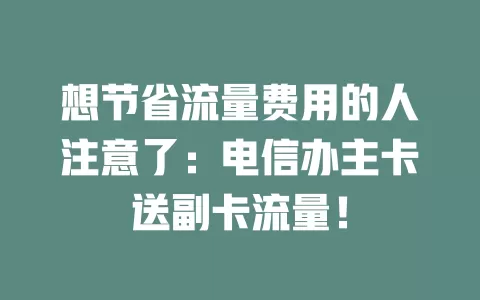 想节省流量费用的人注意了：电信办主卡送副卡流量！
