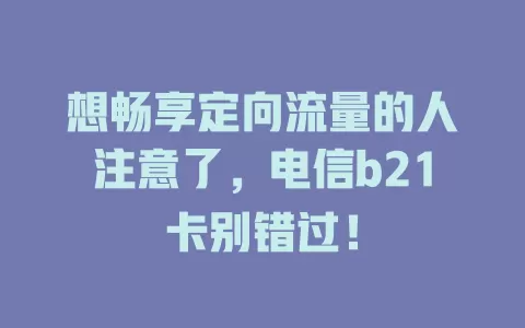 想畅享定向流量的人注意了，电信b21卡别错过！