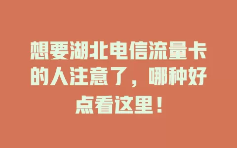 想要湖北电信流量卡的人注意了，哪种好点看这里！