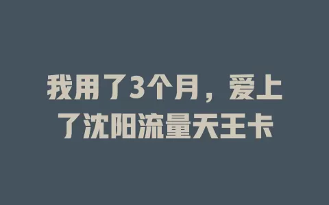 我用了3个月，爱上了沈阳流量天王卡