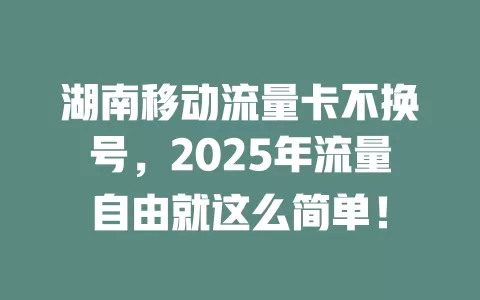 湖南移动流量卡不换号，2025年流量自由就这么简单！