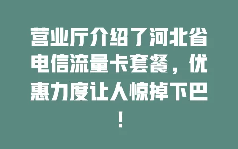 营业厅介绍了河北省电信流量卡套餐，优惠力度让人惊掉下巴！