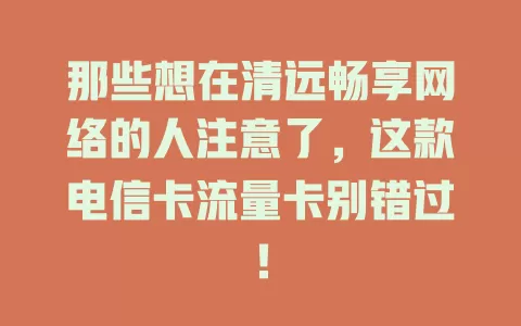 那些想在清远畅享网络的人注意了，这款电信卡流量卡别错过！