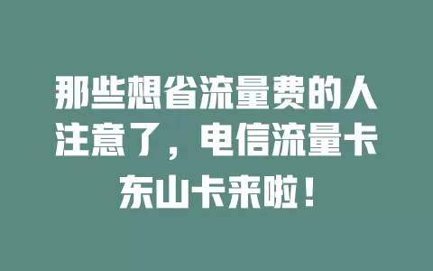 那些想省流量费的人注意了，电信流量卡东山卡来啦！