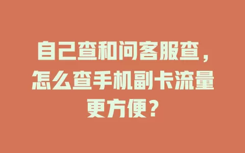 自己查和问客服查，怎么查手机副卡流量更方便？
