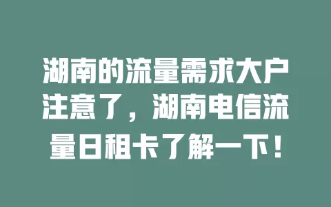 湖南的流量需求大户注意了，湖南电信流量日租卡了解一下！
