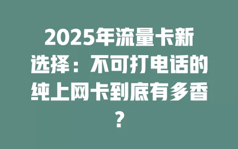 2025年流量卡新选择：不可打电话的纯上网卡到底有多香？