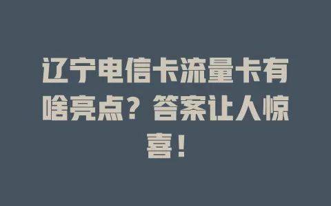 辽宁电信卡流量卡有啥亮点？答案让人惊喜！