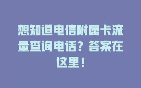 想知道电信附属卡流量查询电话？答案在这里！
