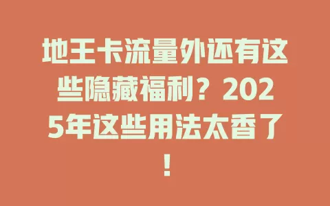 地王卡流量外还有这些隐藏福利？2025年这些用法太香了！