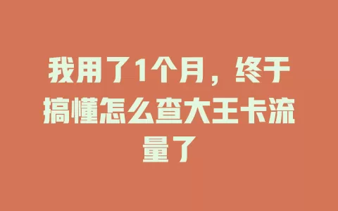 我用了1个月，终于搞懂怎么查大王卡流量了