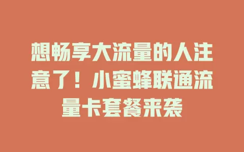 想畅享大流量的人注意了！小蜜蜂联通流量卡套餐来袭