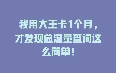 我用大王卡1个月，才发现总流量查询这么简单！