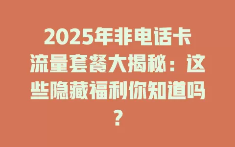 2025年非电话卡流量套餐大揭秘：这些隐藏福利你知道吗？