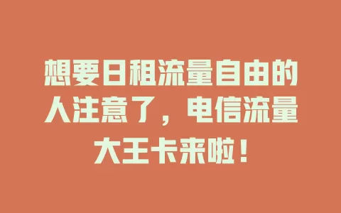 想要日租流量自由的人注意了，电信流量大王卡来啦！