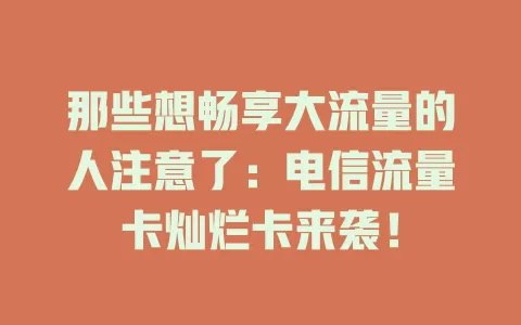 那些想畅享大流量的人注意了：电信流量卡灿烂卡来袭！