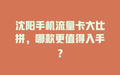 沈阳手机流量卡大比拼，哪款更值得入手？
