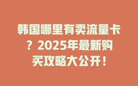 韩国哪里有卖流量卡？2025年最新购买攻略大公开！