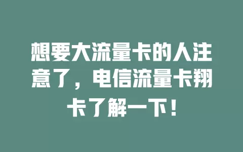 想要大流量卡的人注意了，电信流量卡翔卡了解一下！