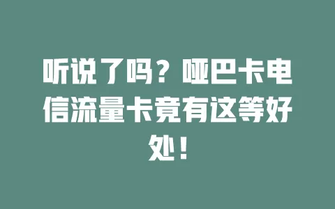 听说了吗？哑巴卡电信流量卡竟有这等好处！