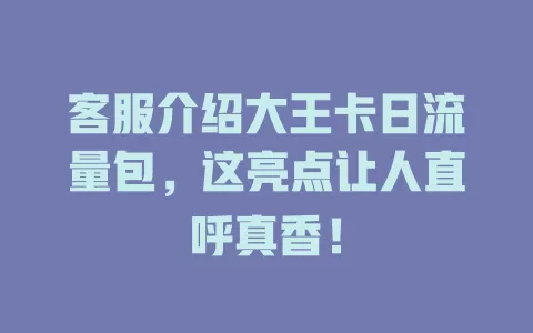 客服介绍大王卡日流量包，这亮点让人直呼真香！
