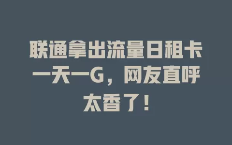 联通拿出流量日租卡一天一G，网友直呼太香了！