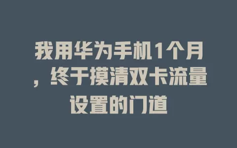我用华为手机1个月，终于摸清双卡流量设置的门道
