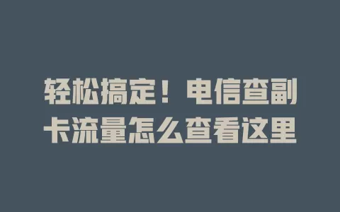 轻松搞定！电信查副卡流量怎么查看这里
