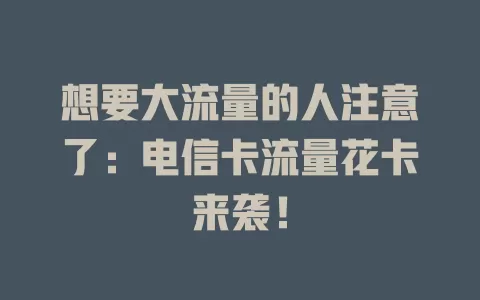 想要大流量的人注意了：电信卡流量花卡来袭！